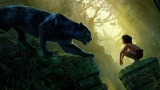 The Jungle Book 2016: ระเบียบป่าโบราณในโลกสมัยใหม่