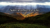 ไม่มีความเหงาในป่าเขาลำเนาไพร